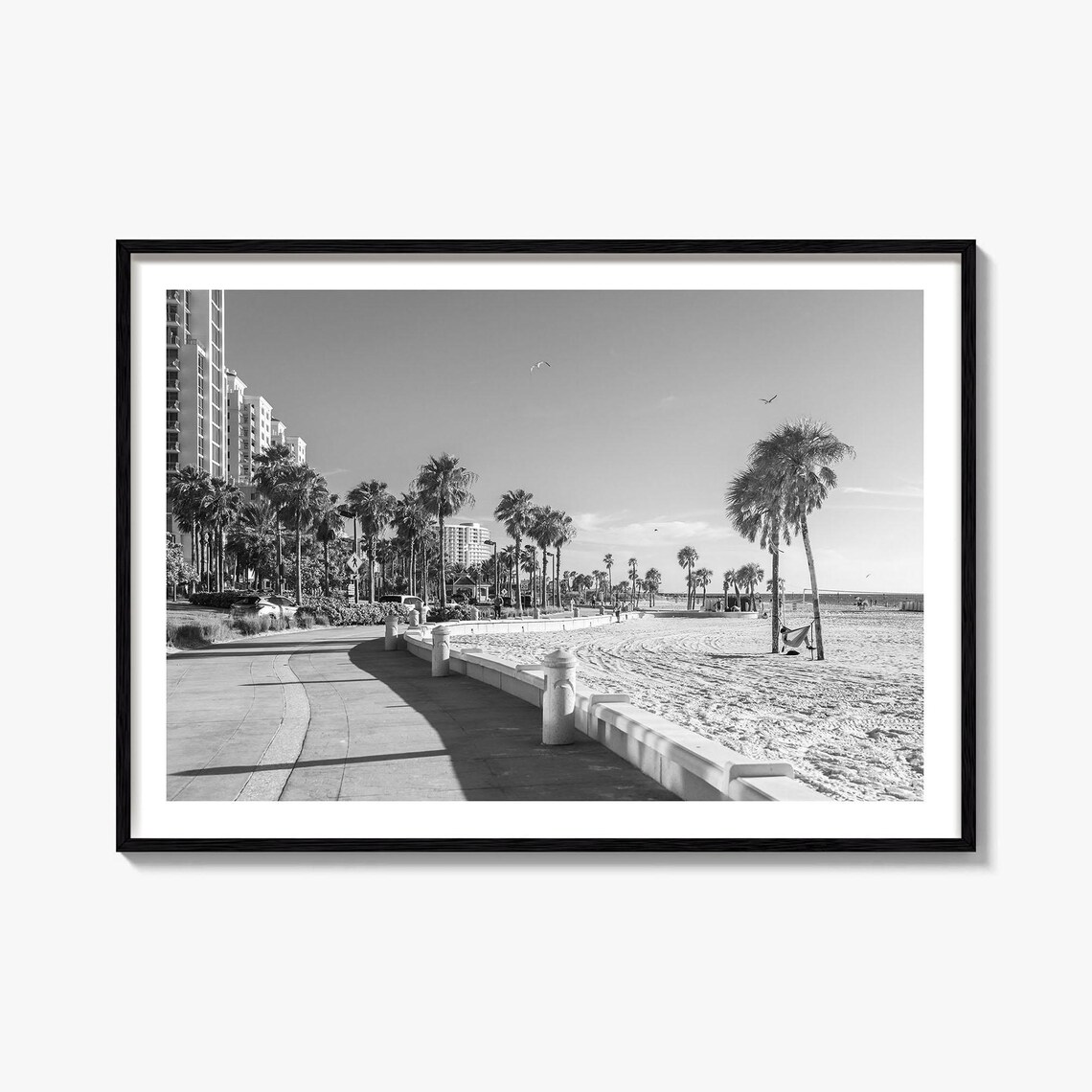 Clearwater Florida Black White Beach Promenade Palms Photo Poster