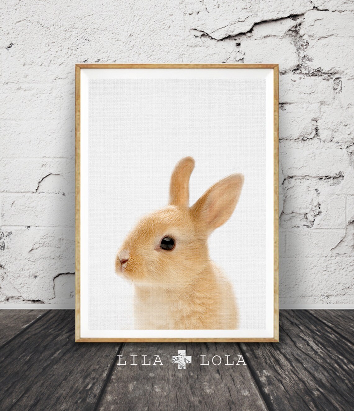 Rabbit Nursery Art Print, Baby Animal Wall Art