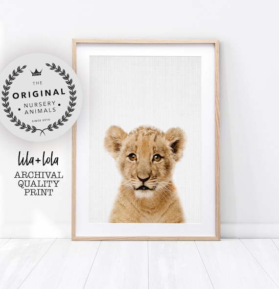 Baby Lion Cub Safari Nursery Decor Poster Print