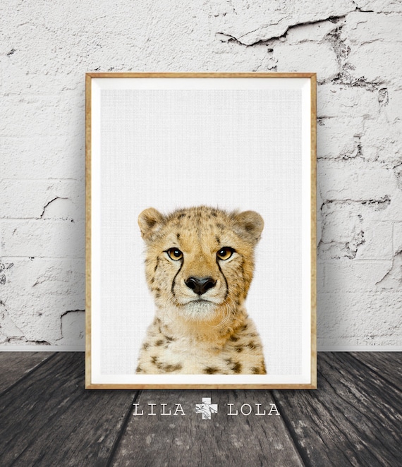 Cheetah Cub Peekaboo Nursery Art Print