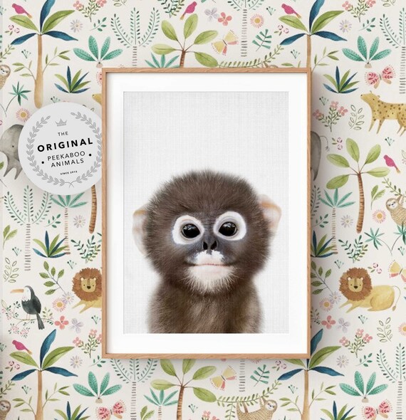 Baby Monkey Safari Nursery Animal Art Print