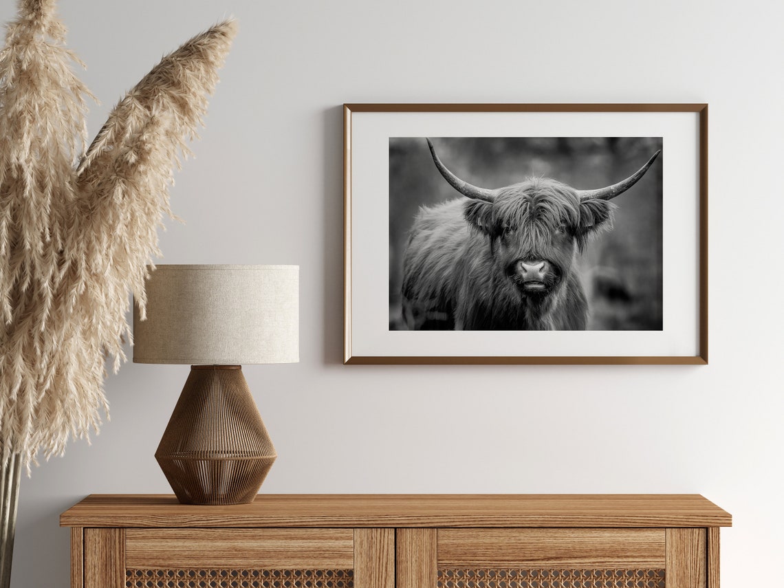 Highland Cow Close Up Portrait Black and White Farm Wall Art - Image 2
