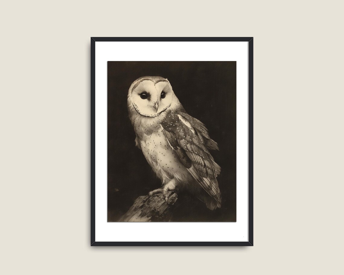 Barn Owl Sepia Vintage Heart Face Moody Wildlife Portrait Print - Image 2