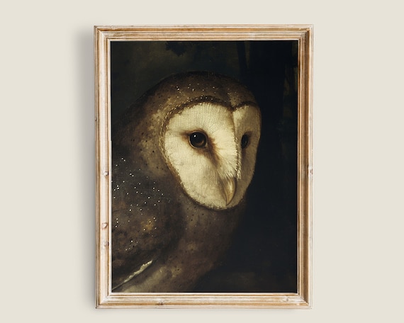 Vintage Barn Owl Painting Dark And Moody Wall Art Dark Academia Decor Art Nature Animal Painting White Owl Bird Prints