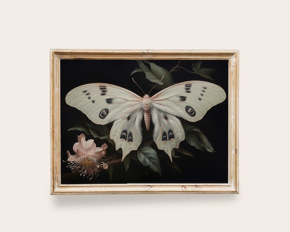 Pale Pink White Moth Vintage Butterfly Art Print