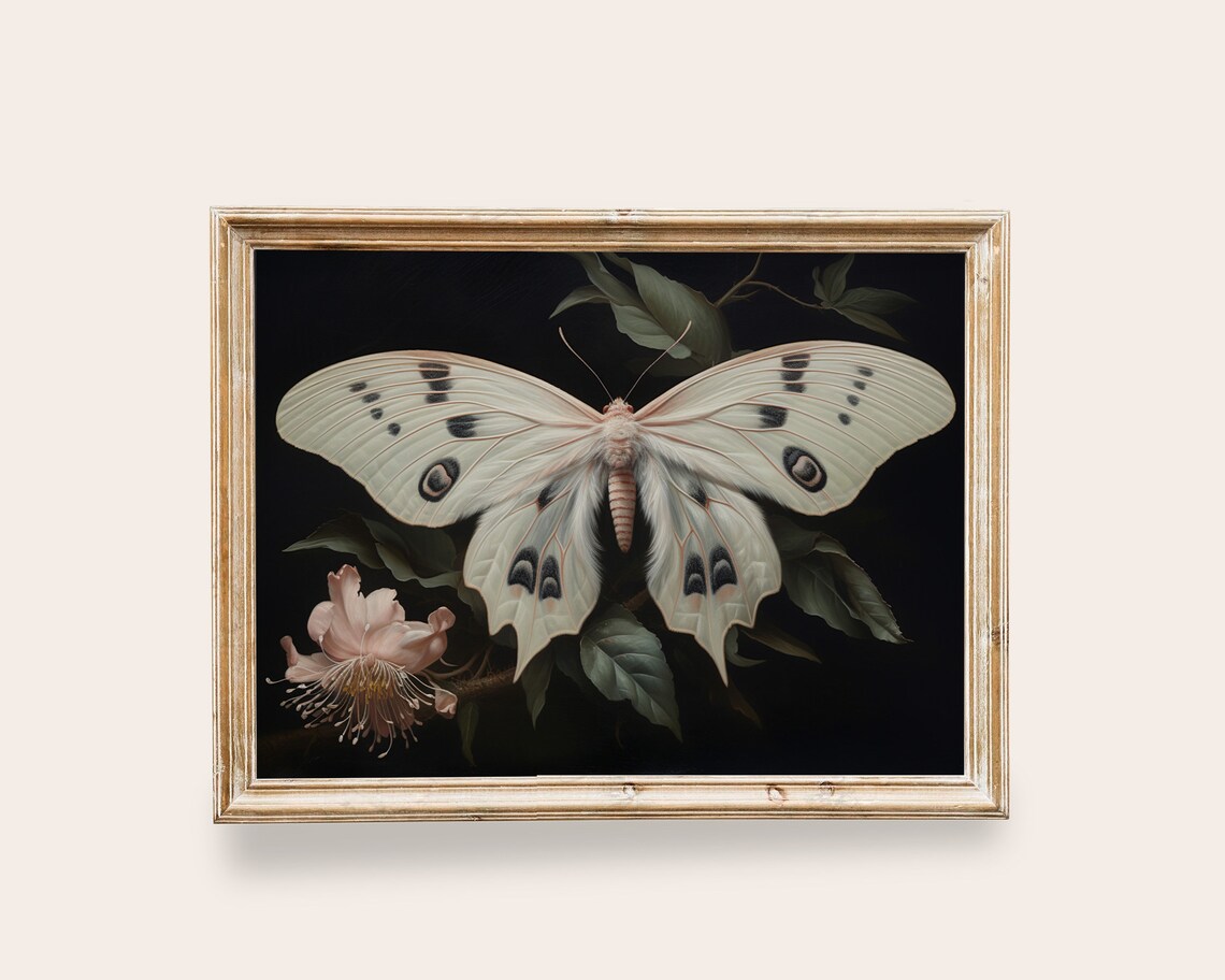 Pale Pink White Moth Vintage Butterfly Art Print