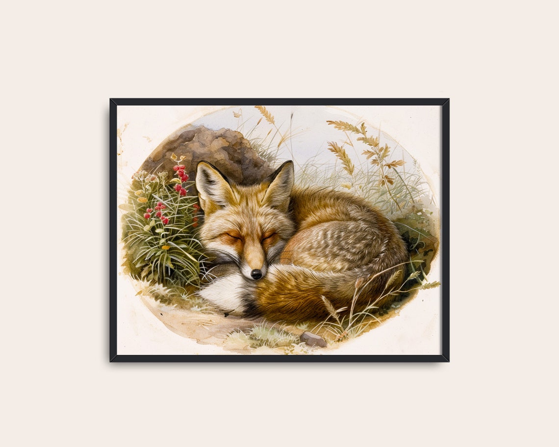 Sleeping Red Fox Curled in Grass Watercolor Wildlife Art Poster - Image 3