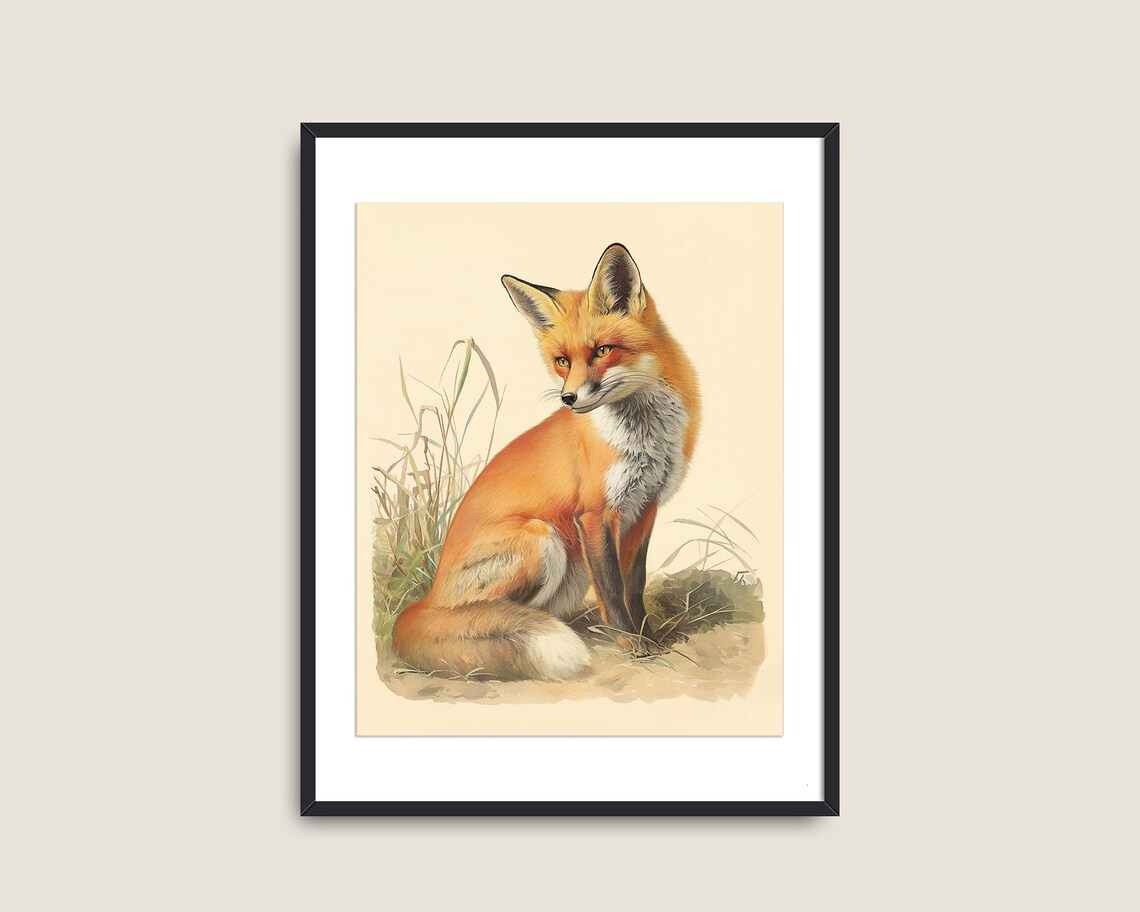 Red Fox Sitting Profile Light Cream Vintage Naturalist Wildlife Art Poster - Image 2