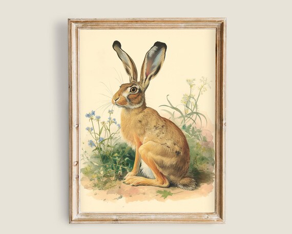 Hare Among Wildflowers Vintage Naturalist Illustration Farmhouse Bunny Wall Art