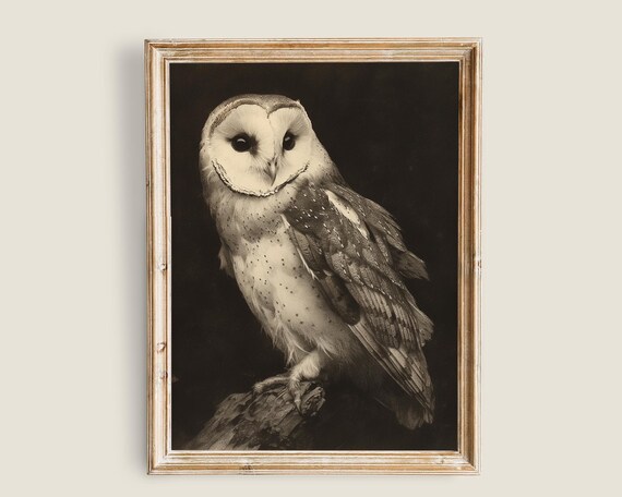 Vintage White Owl Painting Dark And Moody Wall Art Dark Academia Decor Art Nature Animal Painting Owl Illustration