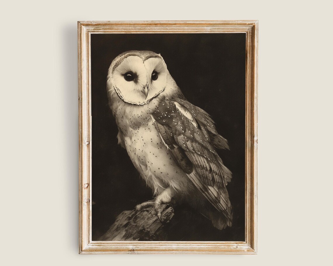 Barn Owl Sepia Vintage Heart Face Moody Wildlife Portrait Print