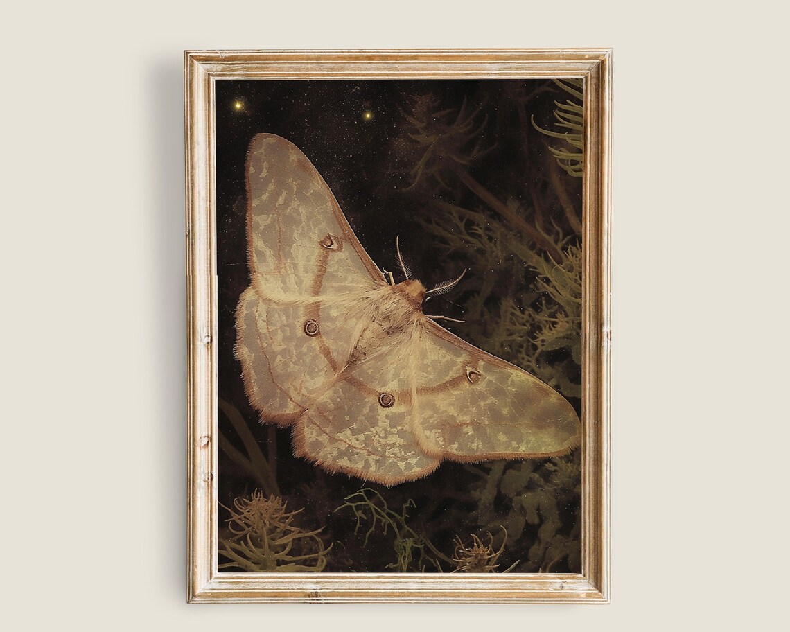 Dark Moth Vintage Butterfly Print Light Academia Decor Art Antique Moth Insect Art Moody Dark Prints