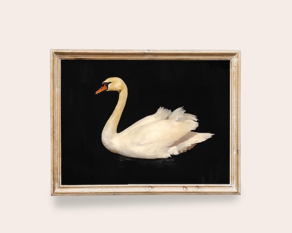 Vintage Swan Print White Swam Romantic Vintage Moody Landscape Painting Dark Cottagecore Victorian Goth Print