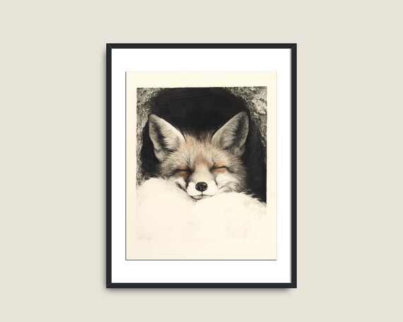Fox Illustration Vintage Art Art Vintage Animal Art Moody Dark Academia Decor Dark Forest Wall Art Red Fox Print