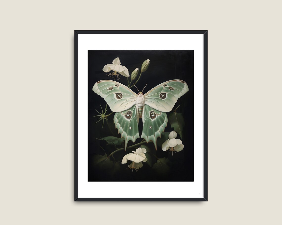 Green White Moth Victorian Vintage Art Print - Image 2
