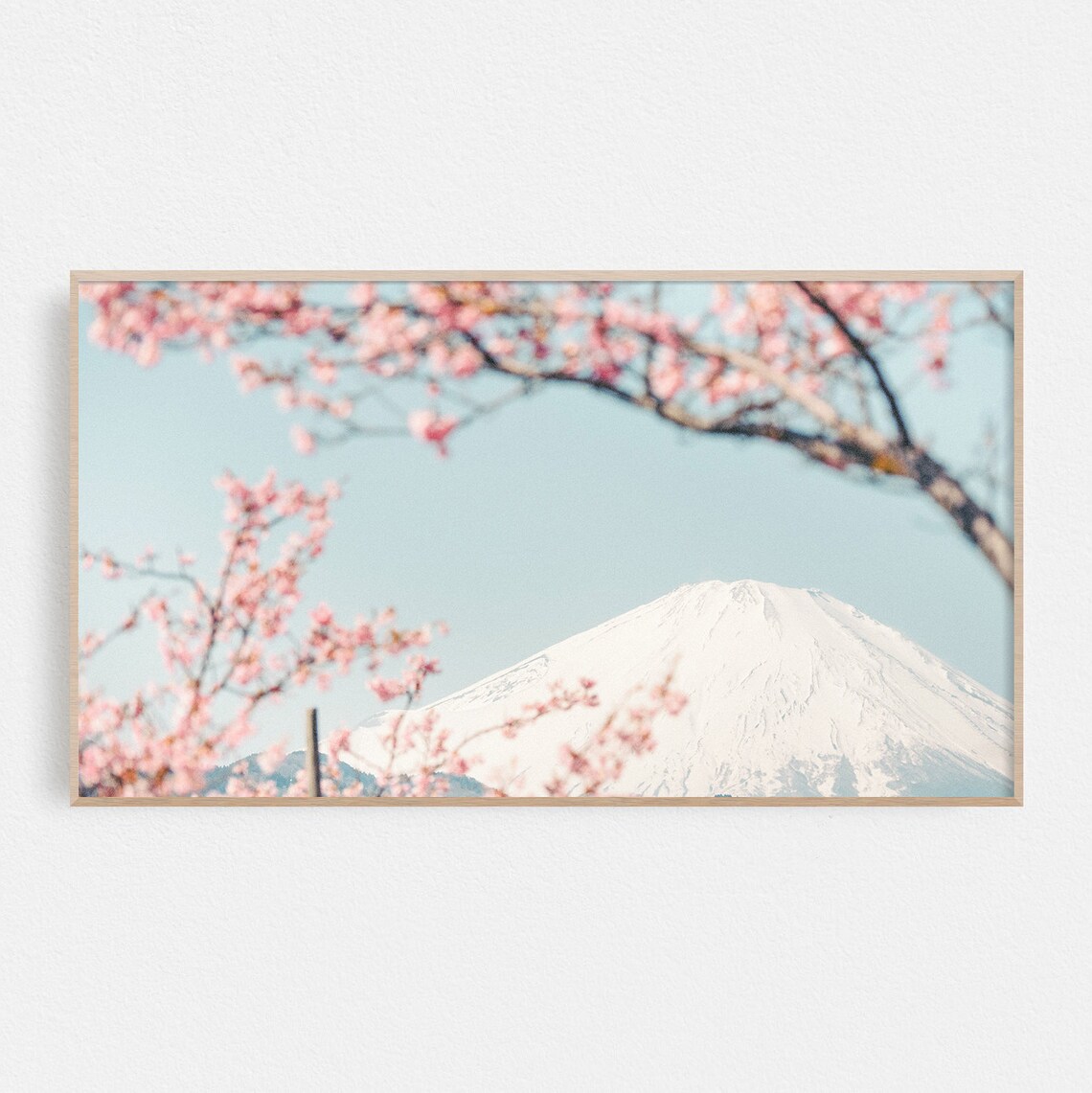 Mount Fuji Japan Cherry Blossom Art Print
