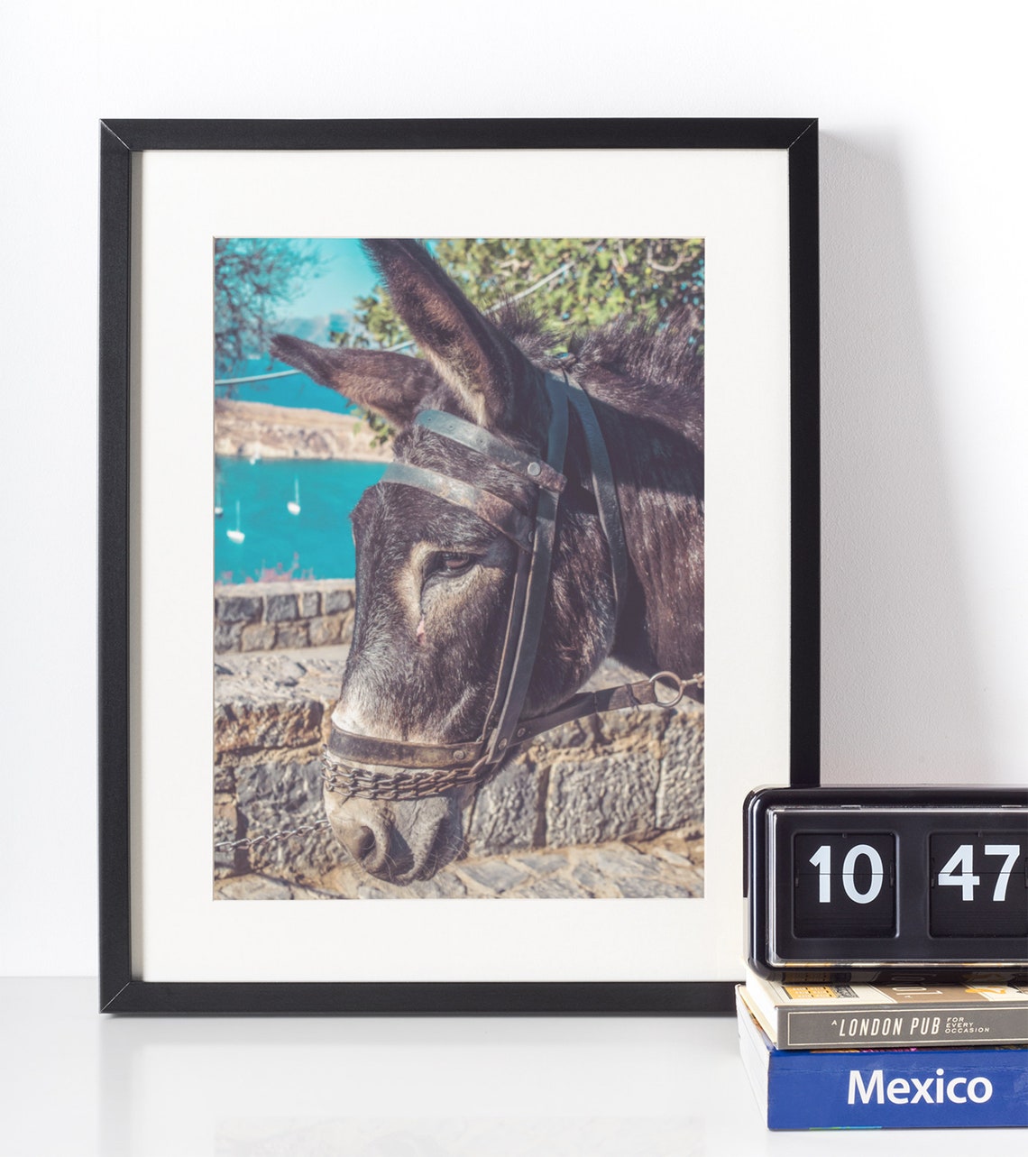 Donkey Portrait Stone Wall Turquoise Harbor Photography Poster - Image 4