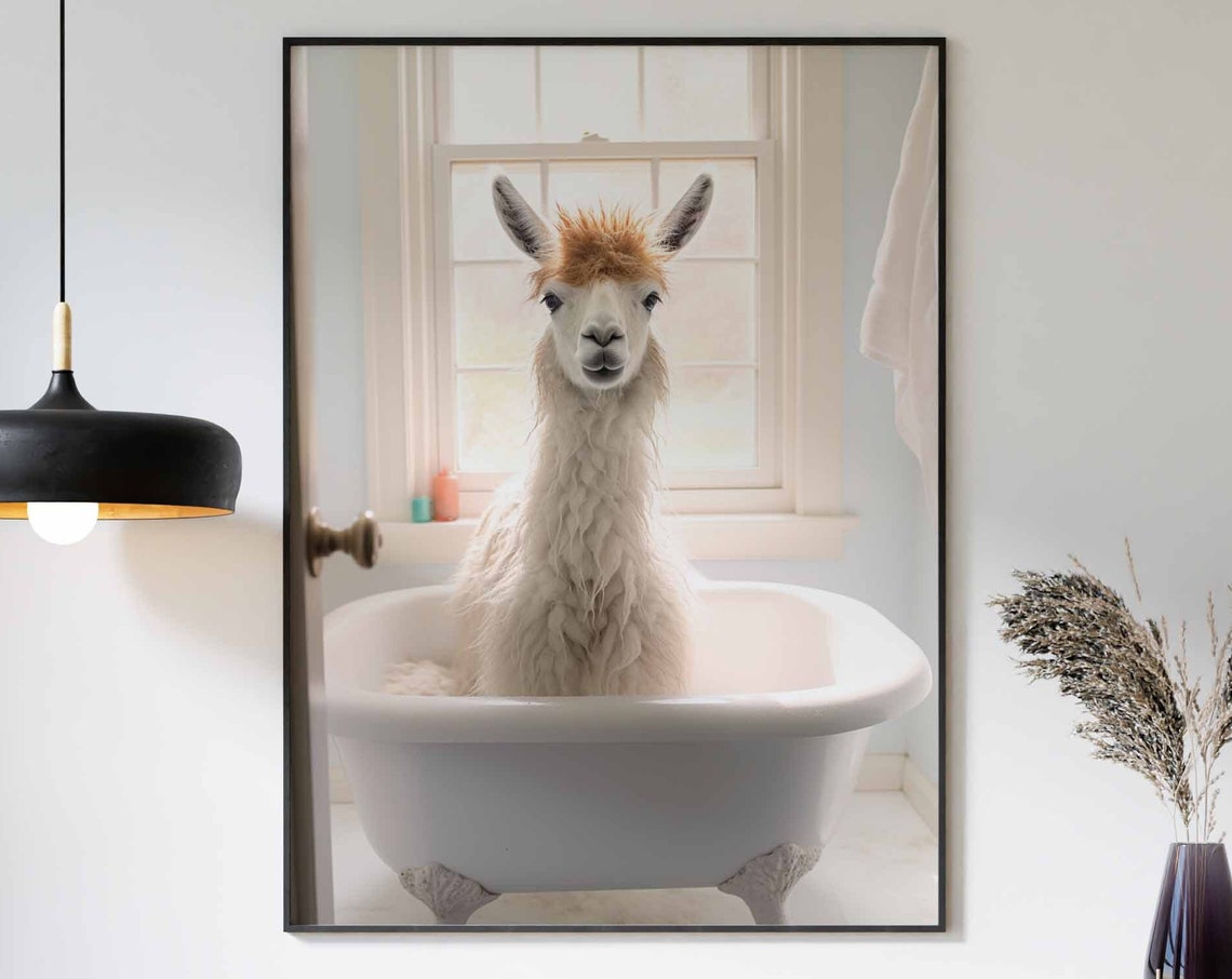 Fluffy White Llama Standing In A White Bathtub Portrait Poster