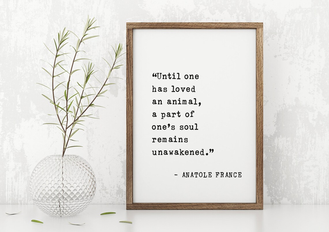 Anatole France Quote, Until One Has Loved An Animal Print - Image 5
