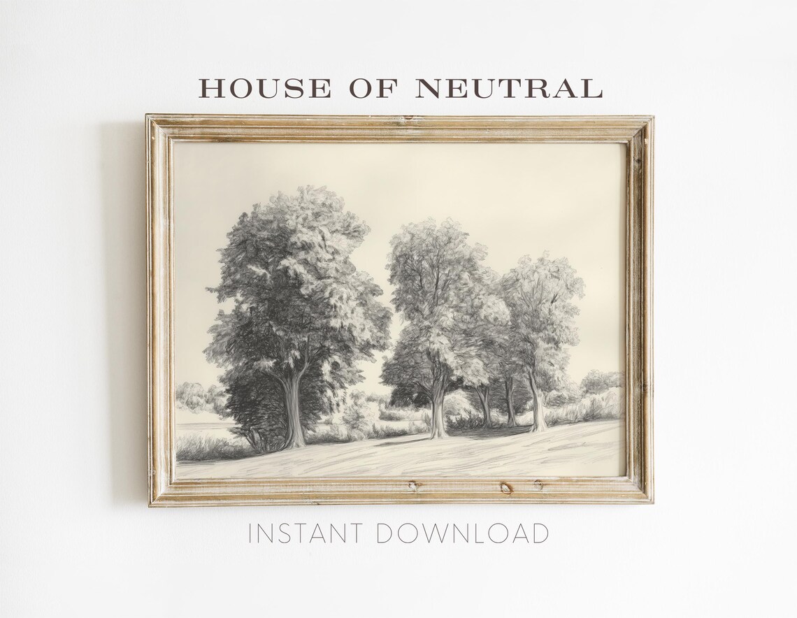 Vintage Pencil Sketch Art Of Tranquil Trees In Countryside Farmhouse Fine Art Wall Art P5