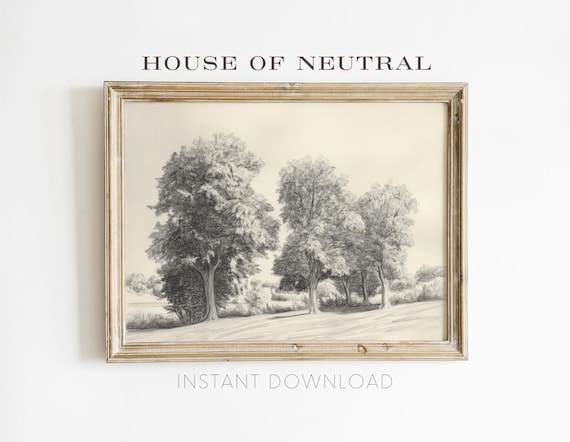 Vintage Pencil Sketch Art Of Tranquil Trees In Countryside Farmhouse Fine Art Wall Art P5