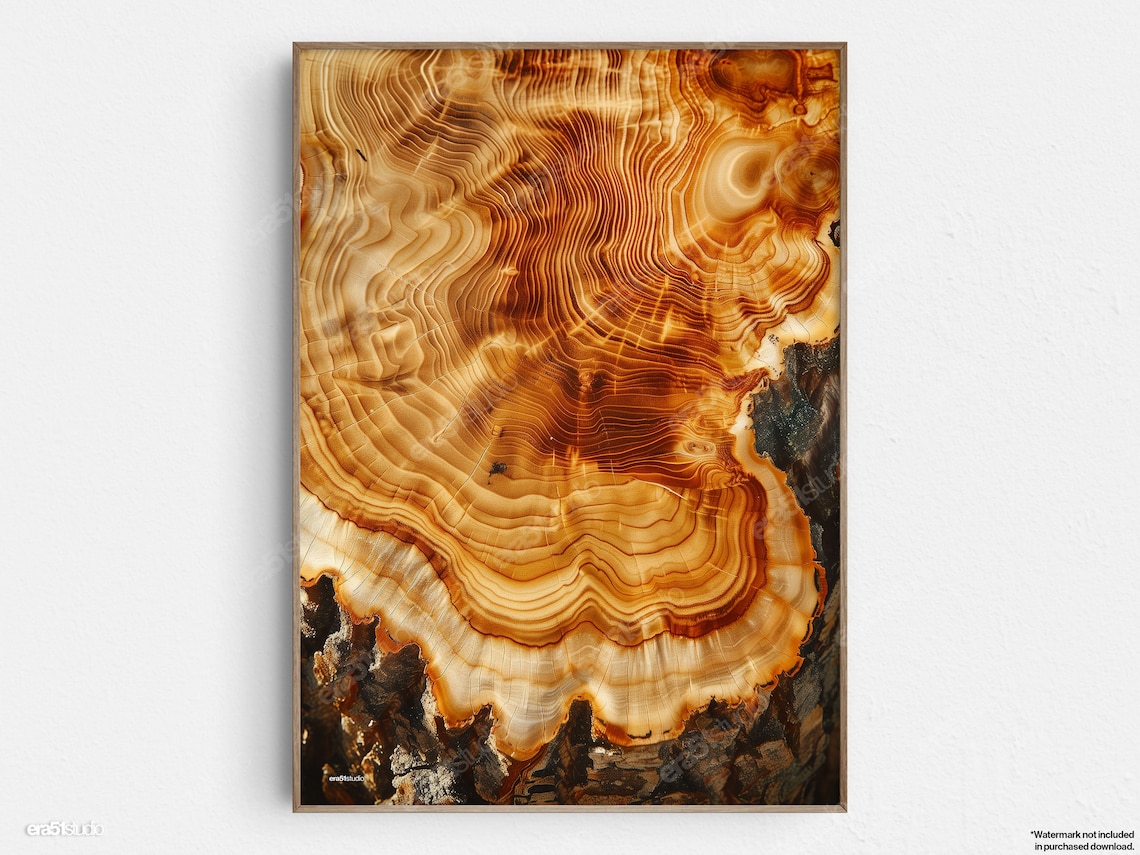 Hardwood Tree Rings, Mid-Century Modern Minimalist Art Print