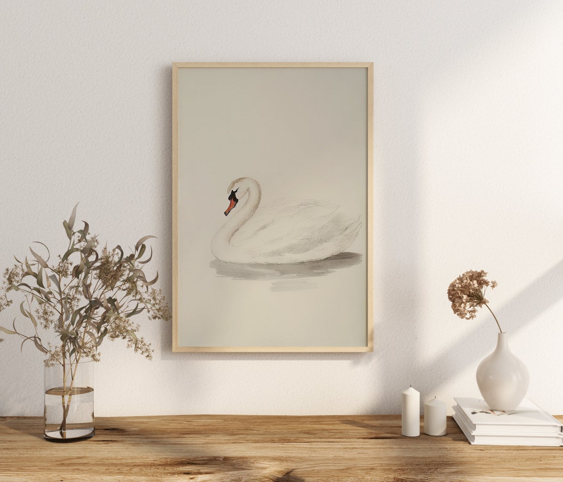 Vintage White Swan Painting Wall Art French Country Wall Art Nursery Wall Art Vintage Print Animal Poster - Image 3