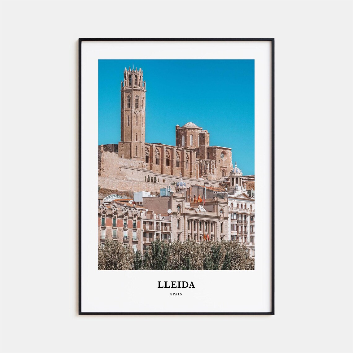 Lleida Spain Hilltop Cathedral Over Historic Old City View Poster