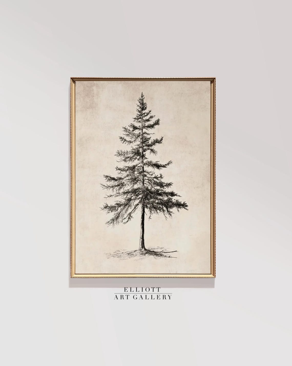 Vintage Pine Tree Sketch Wall Art Rustic Evergreen Botanical Drawing
