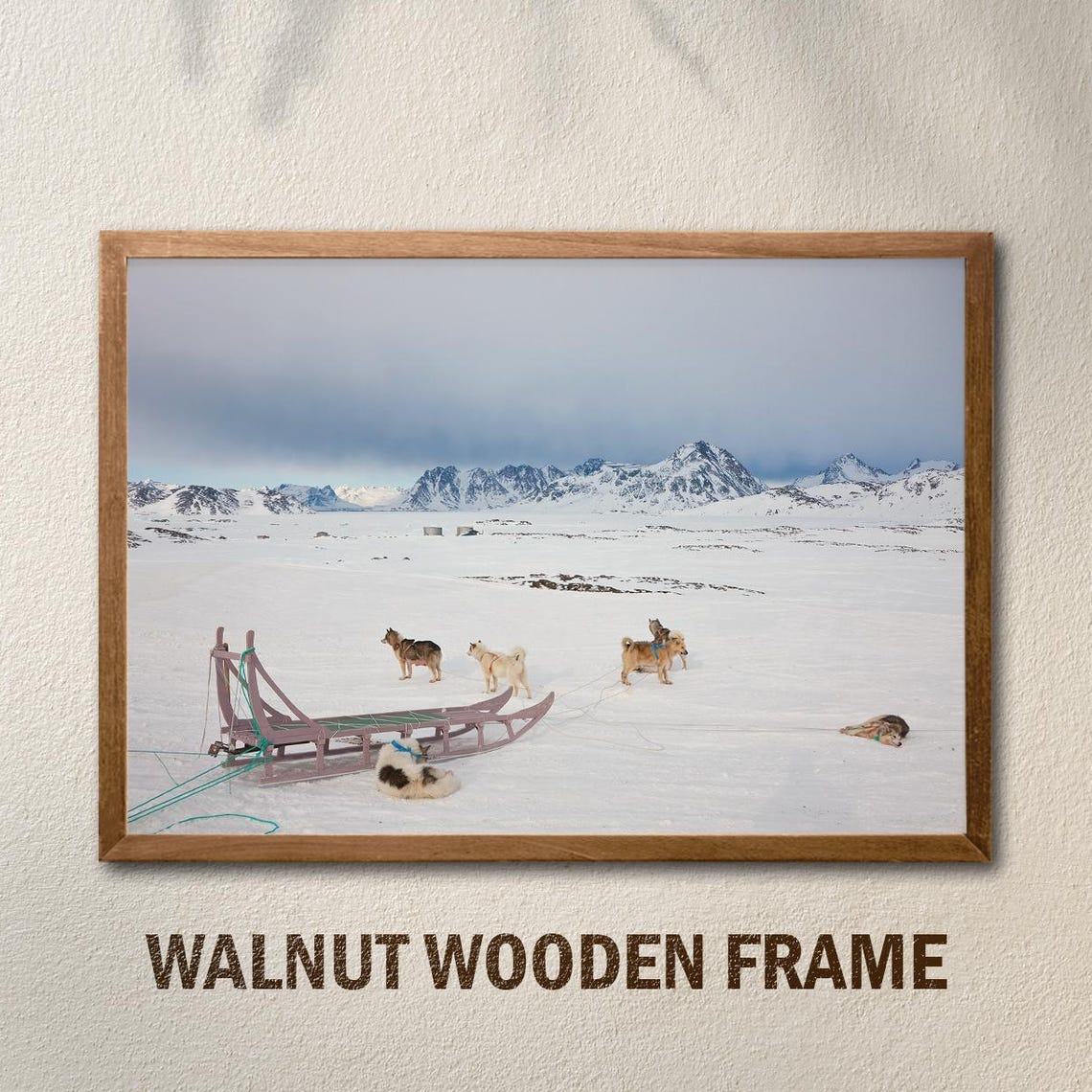 Arctic Dog Sled Team Snowy Mountains Winter Wilderness Photo Poster