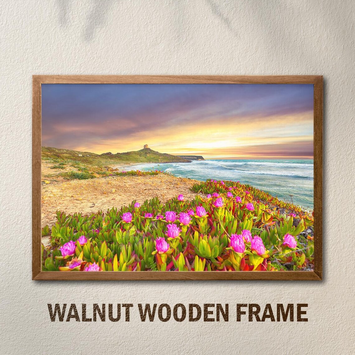 Sunset Coastline Pink Ice Plant Flowers Ocean View Nature Wall Art