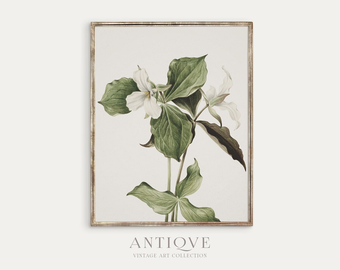 White Flowers Painting, Botanical Art Print