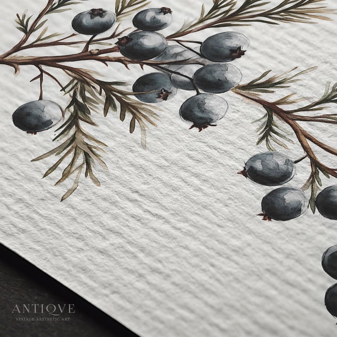 Juniper Berry Branch Rustic Holiday Art Print - Image 3