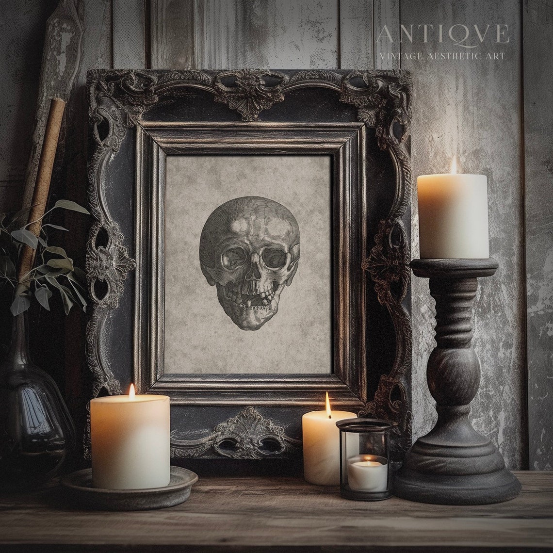 Antique Anatomical Skull Engraving Vintage Science Illustration Print - Image 4