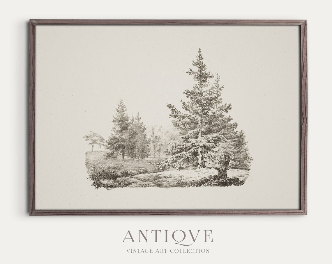 Vintage Forest Sketch Nature Art Print