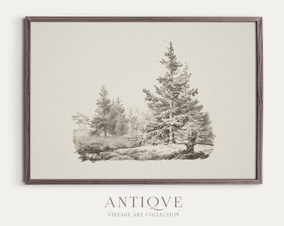 Vintage Forest Sketch Nature Art Print