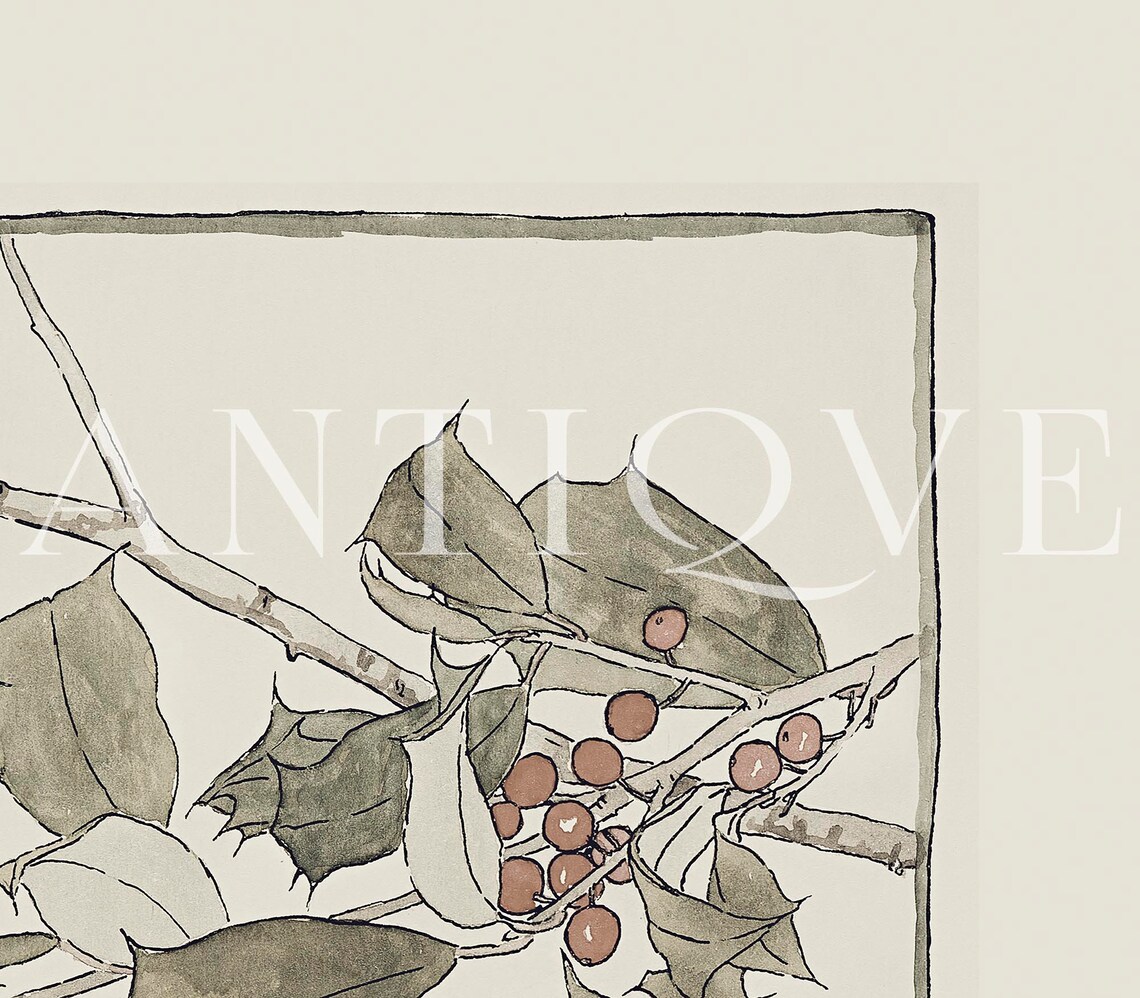 Christmas Holly Sketch Art Print, Winter Decor - Image 3