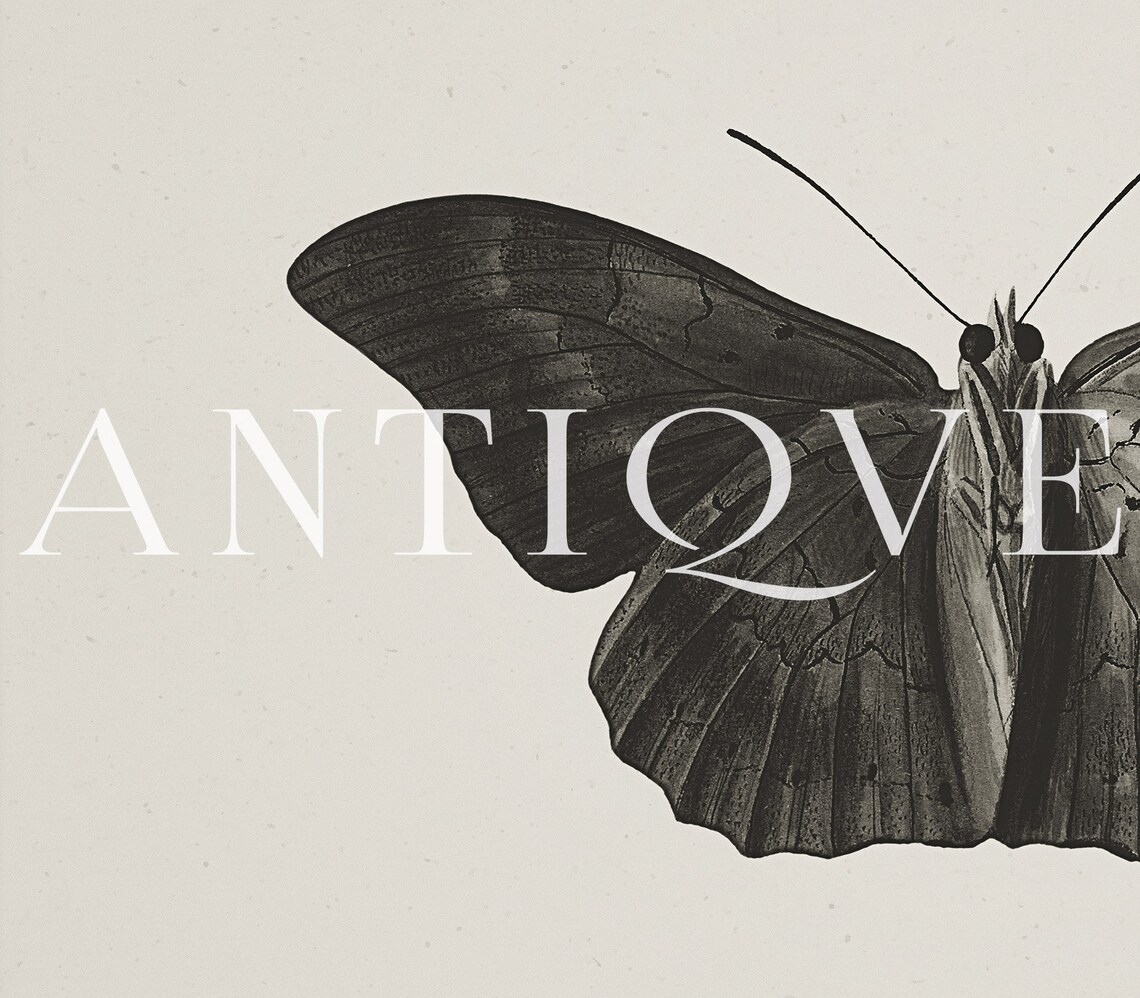 Moth Sketch Painting, Dark Academia Art Print - Image 3