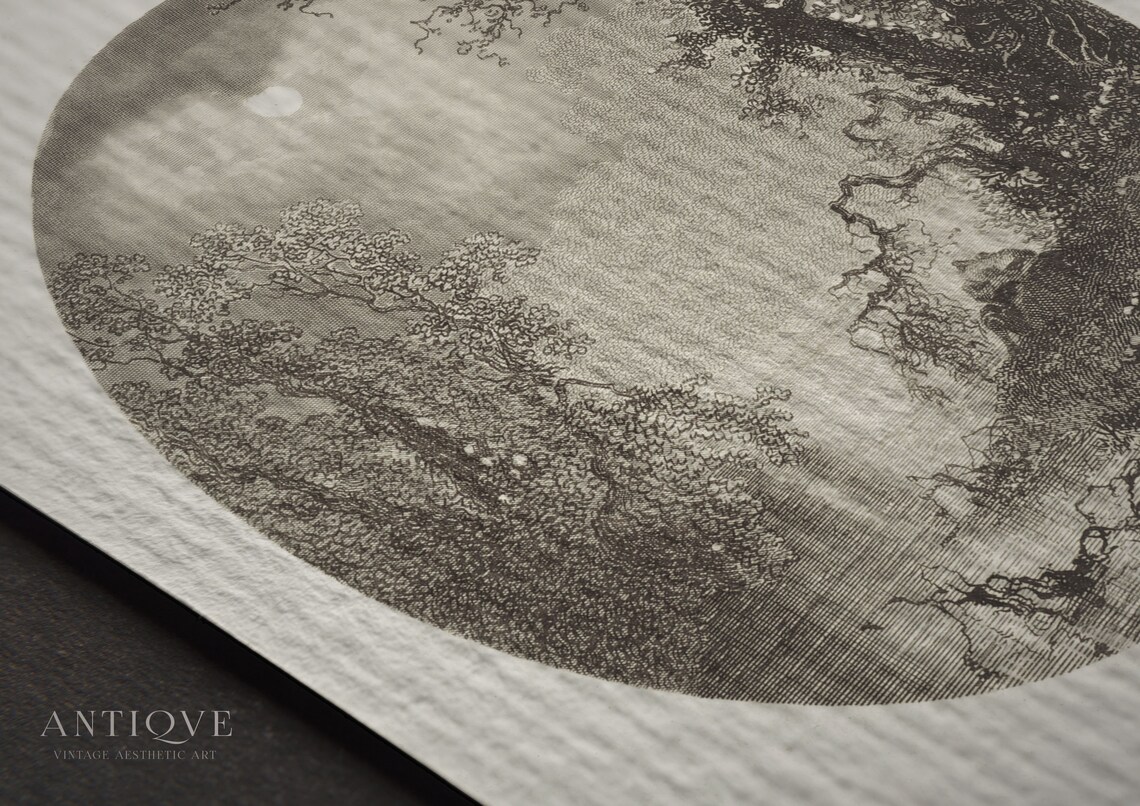 Vintage Black And White Oval Trees On Water Art Print - Image 4