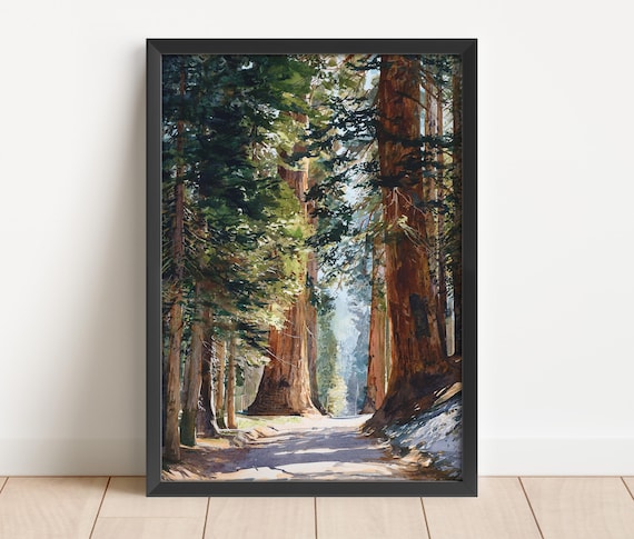 Sequoia National Park Watercolor Giant Trees Forest Trail Poster