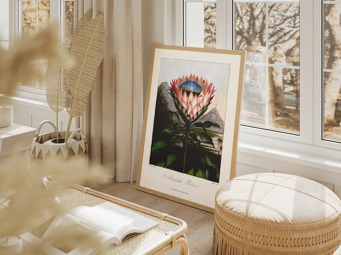 Vintage King Protea Botanical Art Print, Farmhouse Kitchen - Image 3