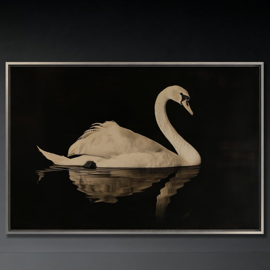 Elegant White Swan Gliding On Dark Water With Reflection Night Poster