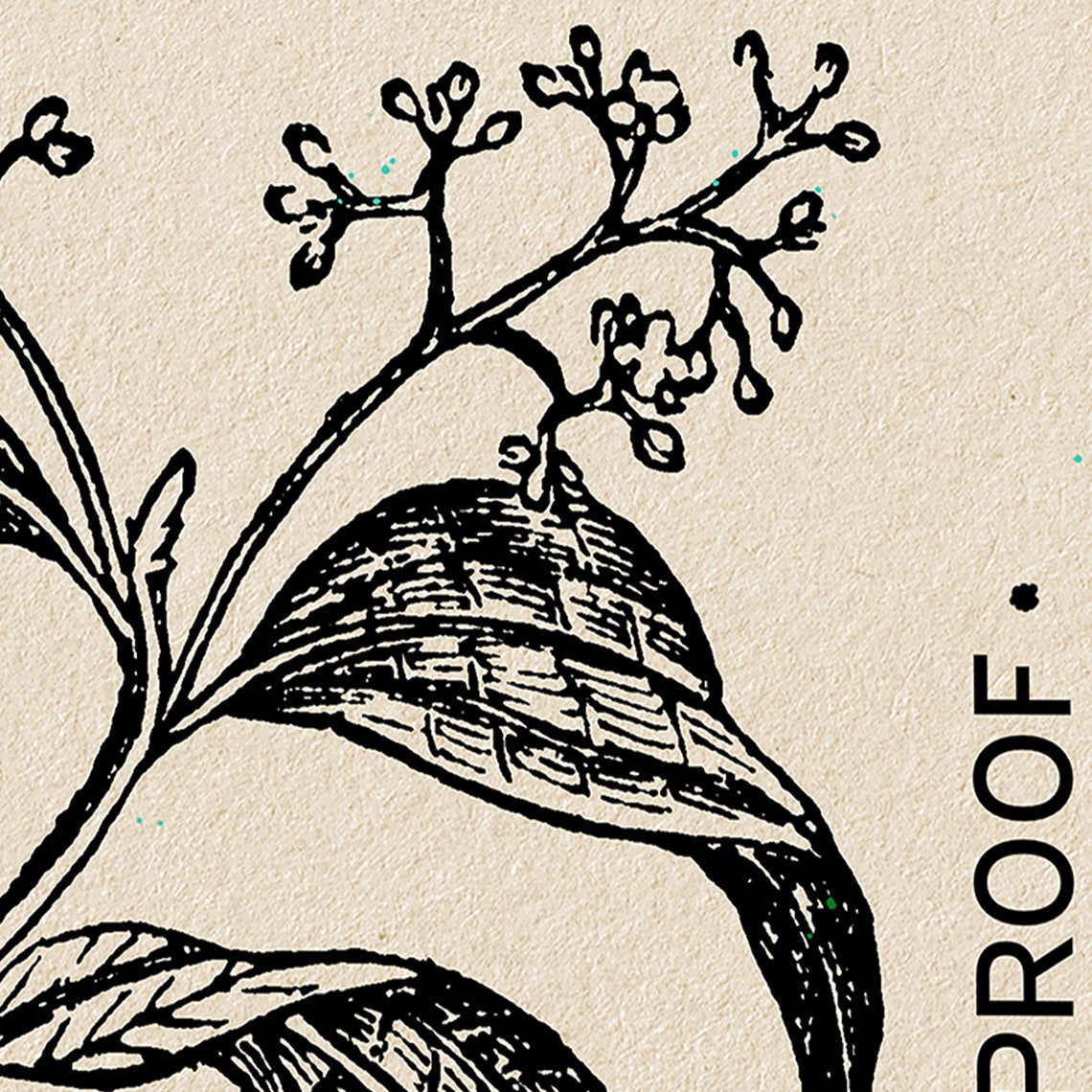 Cinnamon Spice Vintage Matchbox Style Poster With Botanical Artwork - Image 4