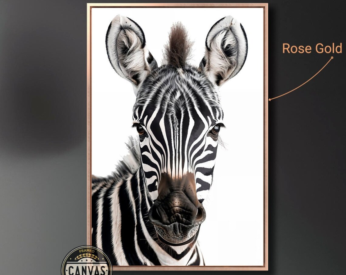 Striking Zebra Face Close Up Black And White Safari Wildlife Art Poster