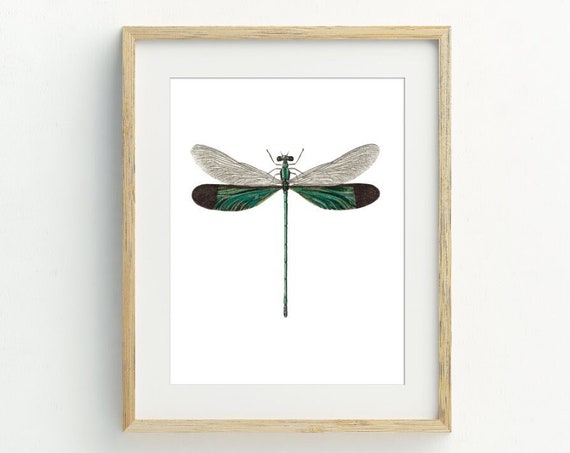 Dragonfly Minimalist Vintage Dragonfly Art Print