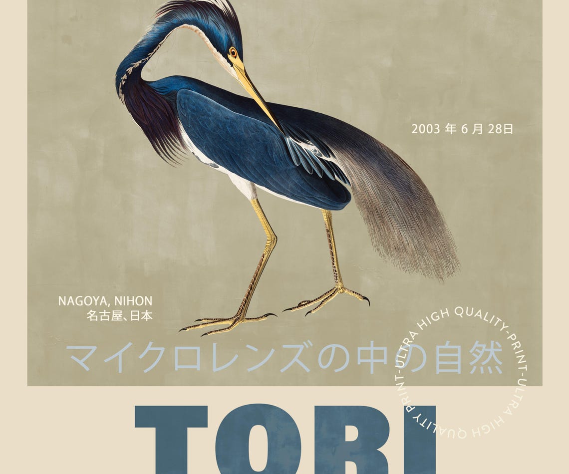 Tori Japanese Heron Wading Bird Vintage Exhibition Illustration Poster - Image 5
