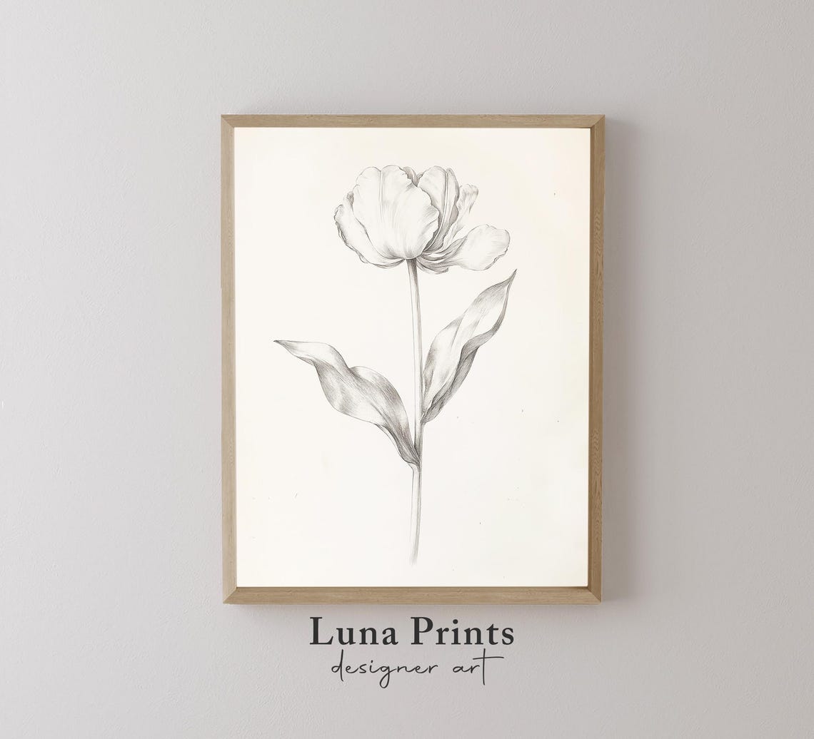 Tulip Drawing Art Black And White Vintage Nature Illustration Antique Botanical Print Spring Flower Sketch 11408