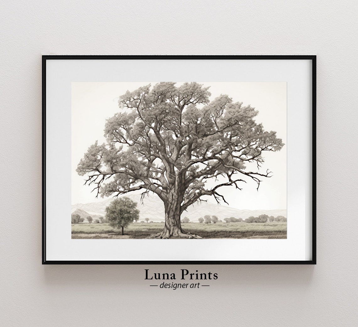 Majestic Old Tree Pencil Sketch Vintage Botanical Art Poster