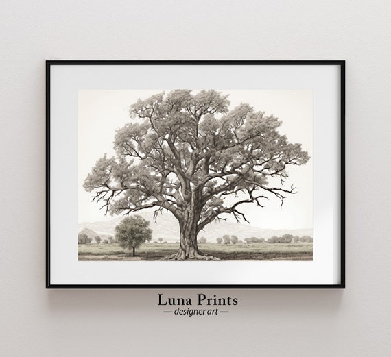 Cottonwood Tree Ll Vintage Landscape Art