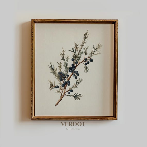 Vintage Juniper Branch Christmas Art Print